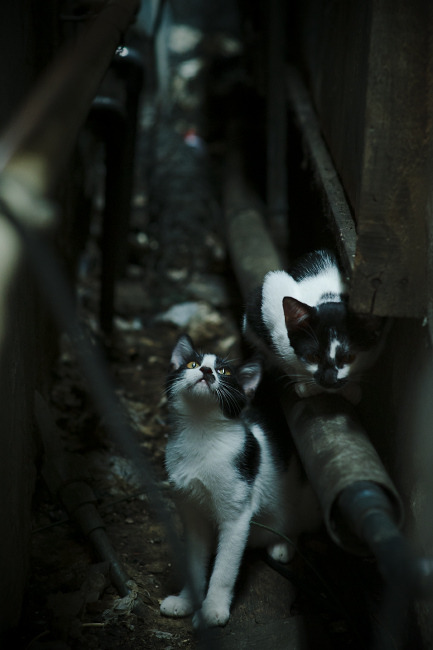 春天启示录，当西甲德比遇见广厦胜利公式