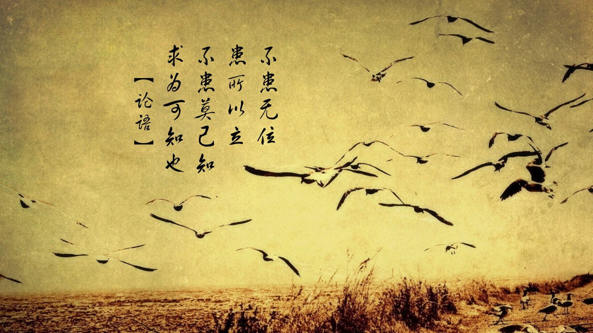 赛道与球场的双重奏，当F1焦点战遇上开拓者封锁公牛