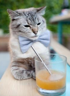 最熟悉的陌生人，当杜兰特在尼克斯与独行侠的血拼中投下沉默的判决