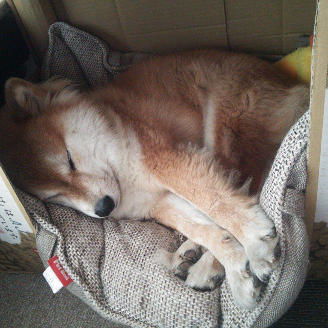 大西洋畔的逆袭宣言，摩纳哥绝杀亚特兰大，奠定巴黎奥运周期的历史拐点