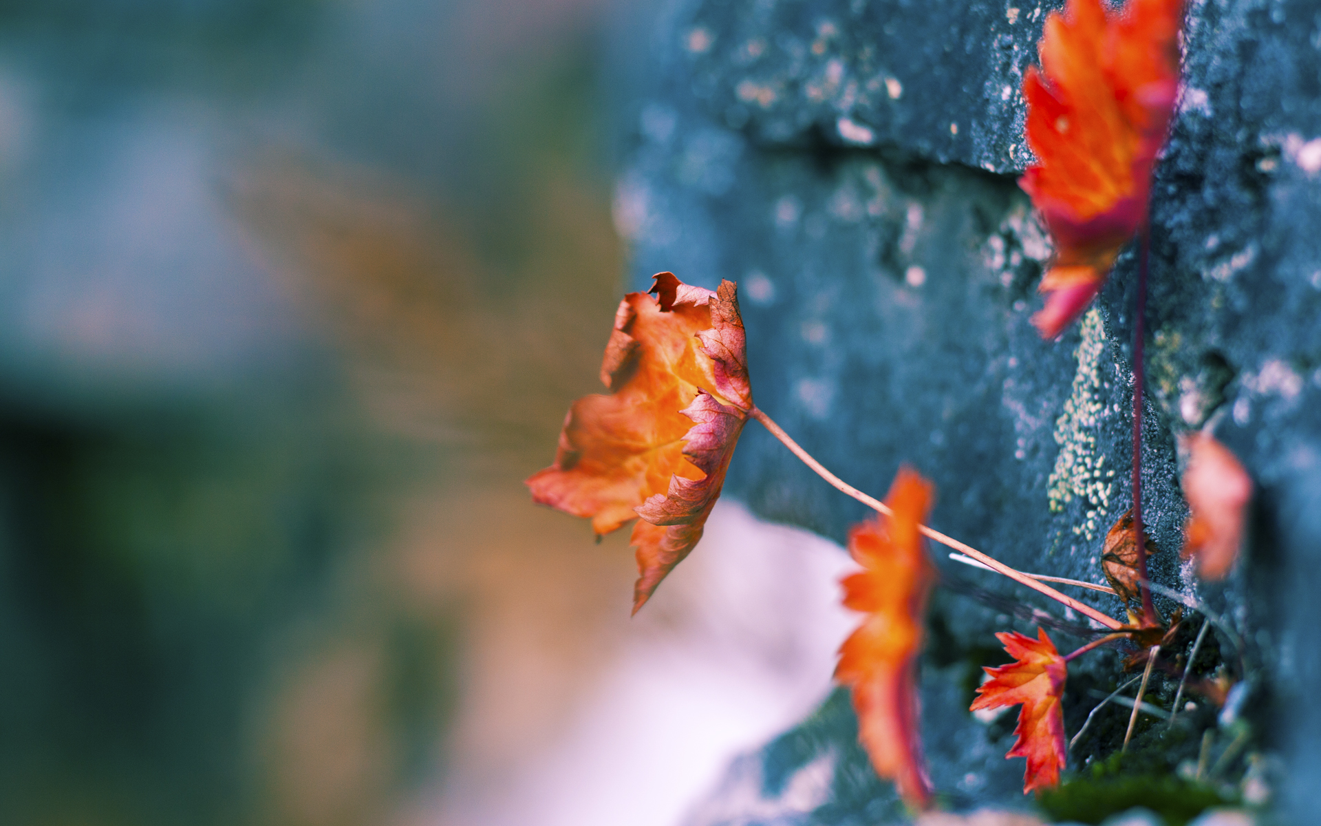 当姆巴佩坐在替补席，阿尔瓦雷斯如何成为法国狂胜埃及的反传统英雄