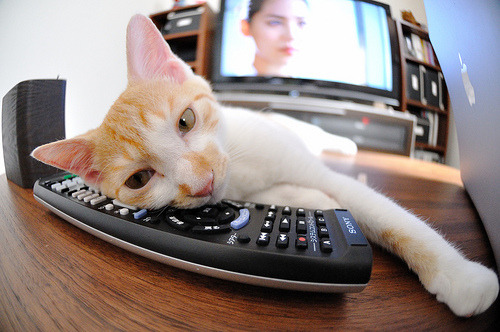 湖人狂潮席卷凯尔特人，利拉德东决封神时刻