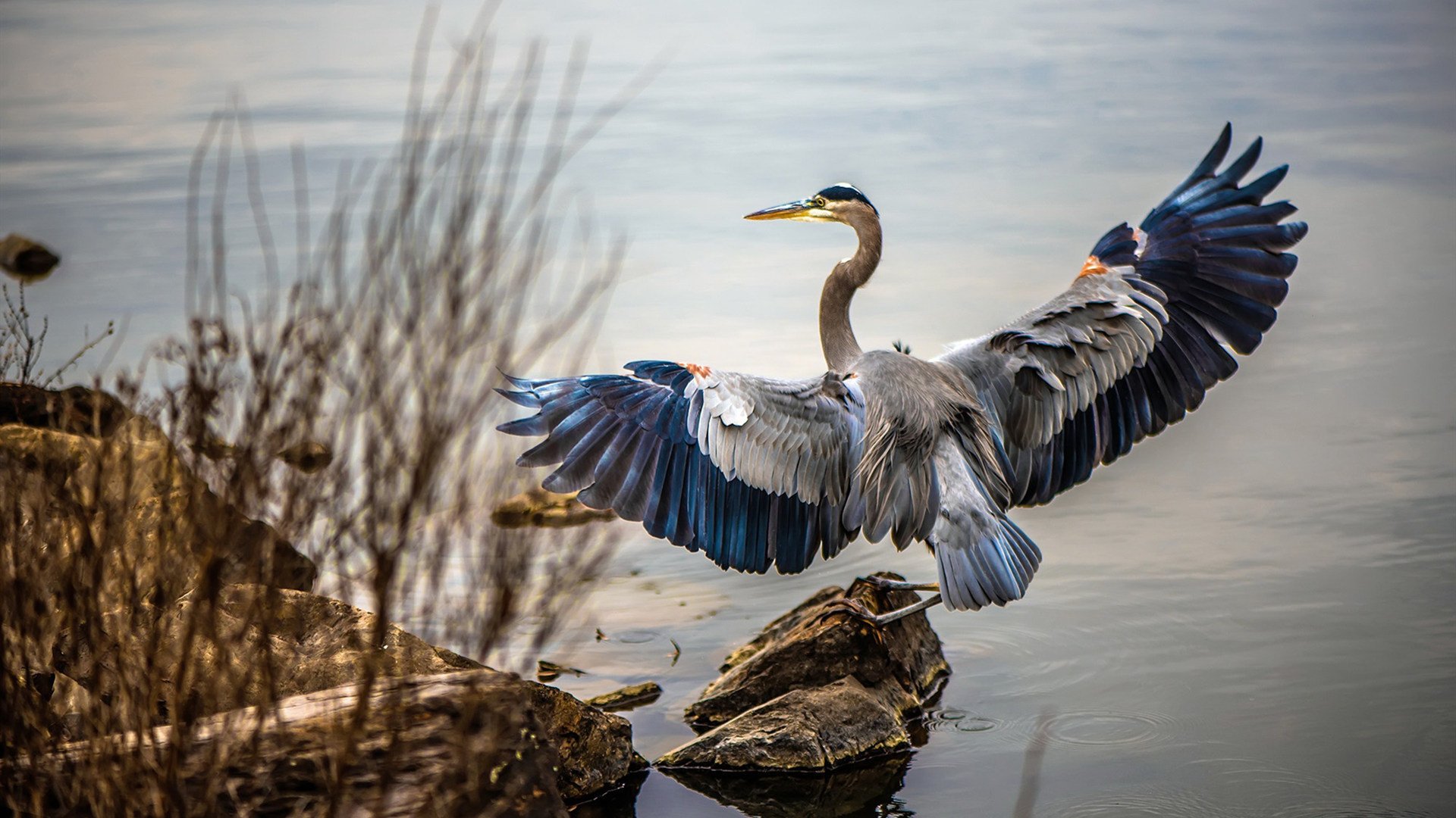 东海岸铁蹄踏破紫禁城，班凯罗全能统治助绿军客场稳胜北京