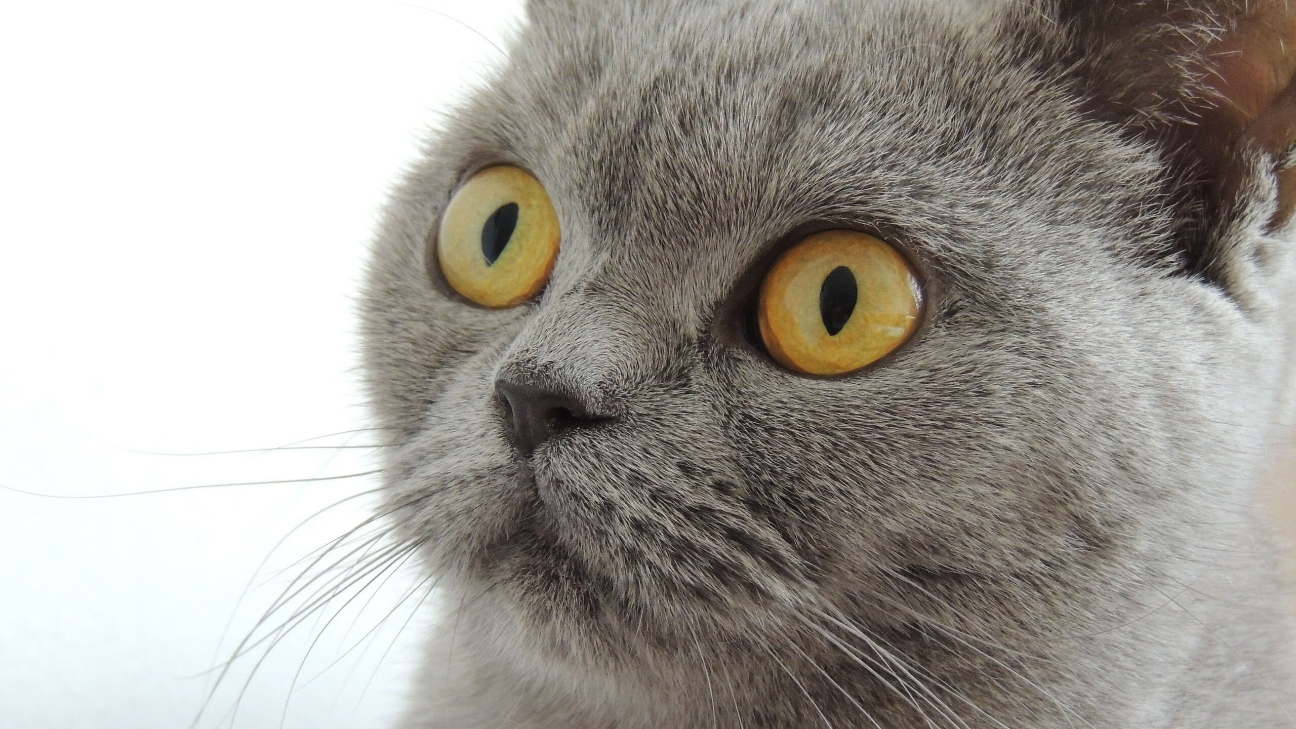 破壁之战，当山西队遇见马刺，伦纳德在东方点燃星火