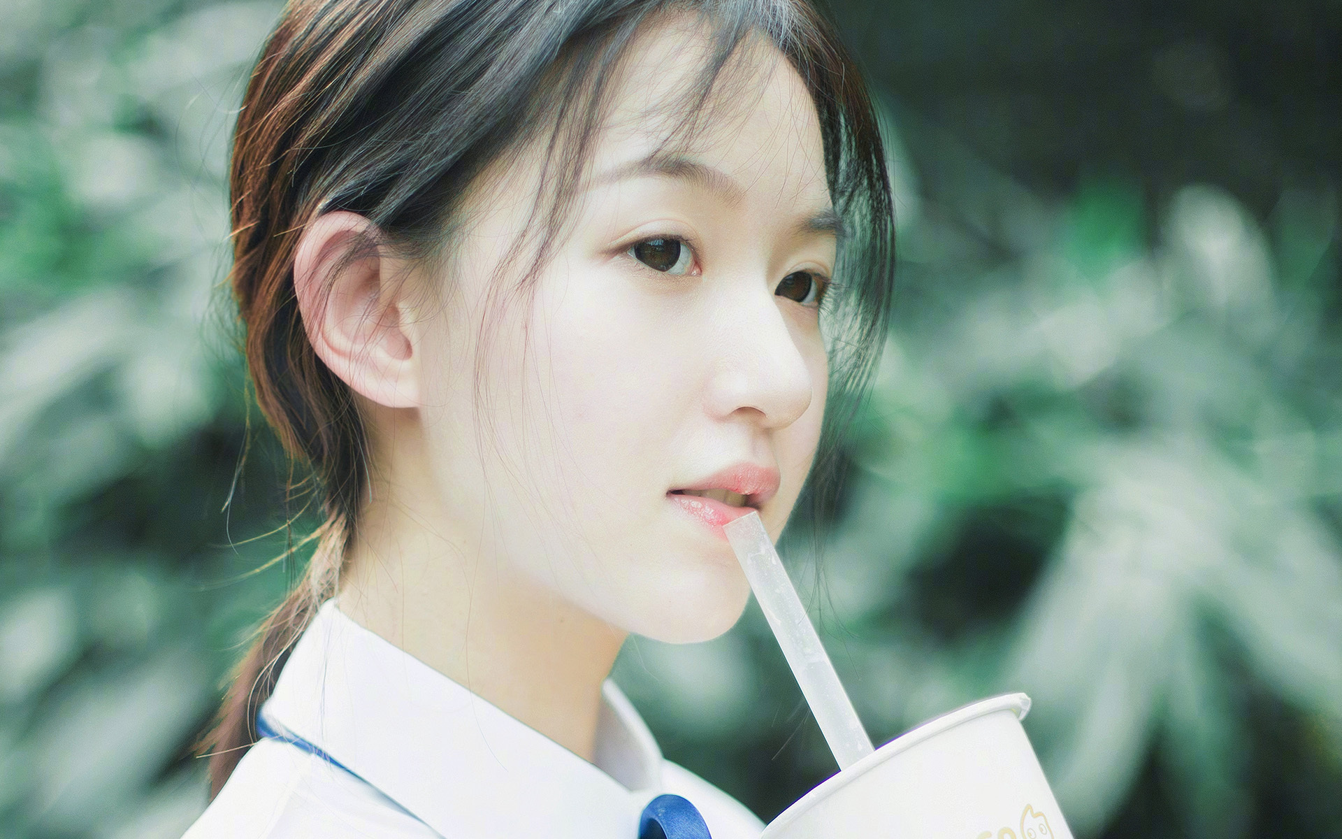王朝更迭的伏笔，当唯美遭遇唯效，2026世界杯F组的冰与火之歌