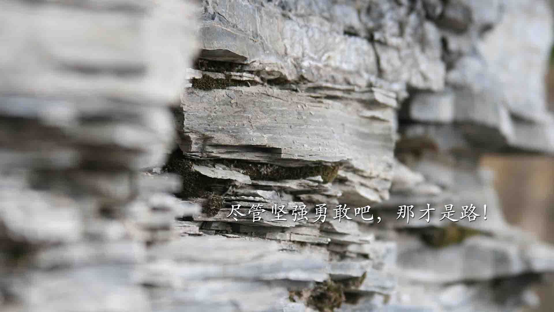 颠覆的唯一,当葡萄牙的华丽控球,碾过德意志的钢铁意志