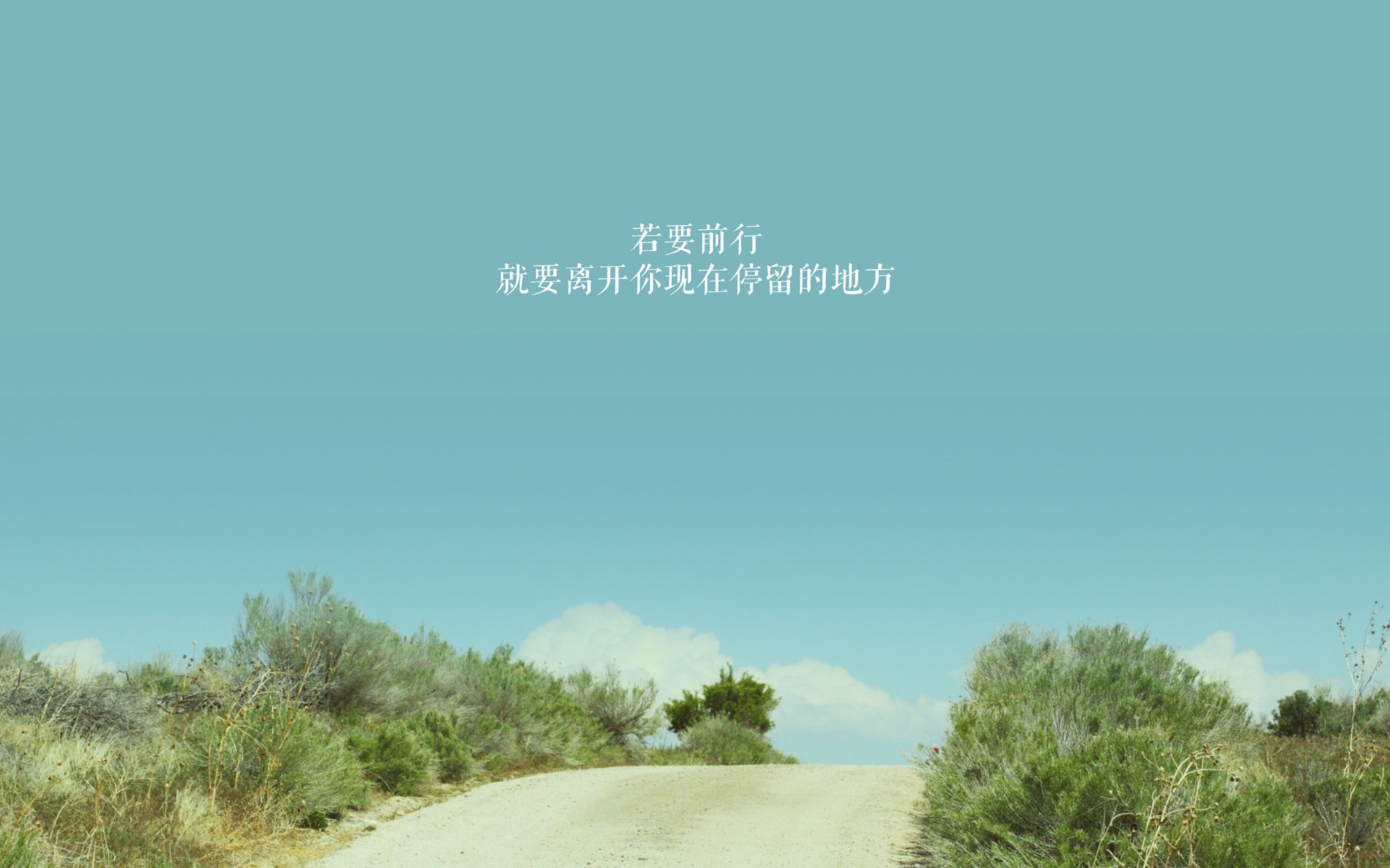 乾坤颠倒的G组之夜,北极星照亮沙漠风暴,孙兴慜的独舞与突尼斯的逆天改命